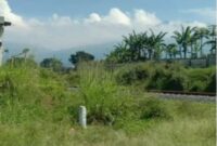 Tempat ini diduga sering dijadikan aktivitas transaksi jual beli tramadol warga Desa Benda, Kecamatan Cicurug, Kabupaten Sukabumi, Jawa Barat. (Foto @kabarnegri)