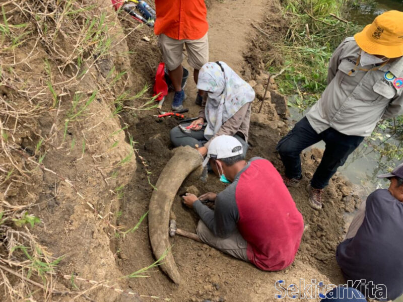 Tim peneliti melakukan ekspakasi fosil bobid (banteng) di Desa Baranangsiang, Kecamatan Cipongkor KBB (foto Abdul).