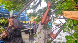 Hujan deras disertai angin kencang mengakibatkan pohon tumbang ditepi jembatan Cikarang kota, tepatnya di Jalan Re Martadinata, Gatot Subroto, Desa Karang Asih, Cikarang Utara, Kabupaten Bekasi.