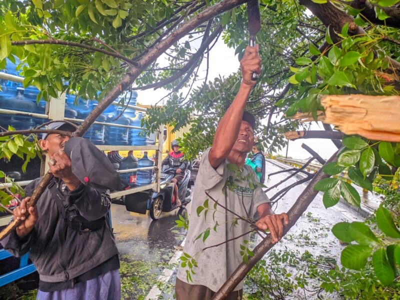 Hujan deras disertai angin kencang mengakibatkan pohon tumbang ditepi jembatan Cikarang kota, tepatnya di Jalan Re Martadinata, Gatot Subroto, Desa Karang Asih, Cikarang Utara, Kabupaten Bekasi.