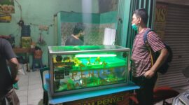 Ayam penyet Cah Ndeso (foto: Abdul Kholilulloh)