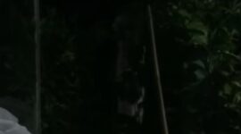Penampakan pocong gegrkan warga Kampung Pelaukan RT 003 RW 002 Desa Karangrahayu Kecamatan Karangbahagia Kabupaten Bekasi