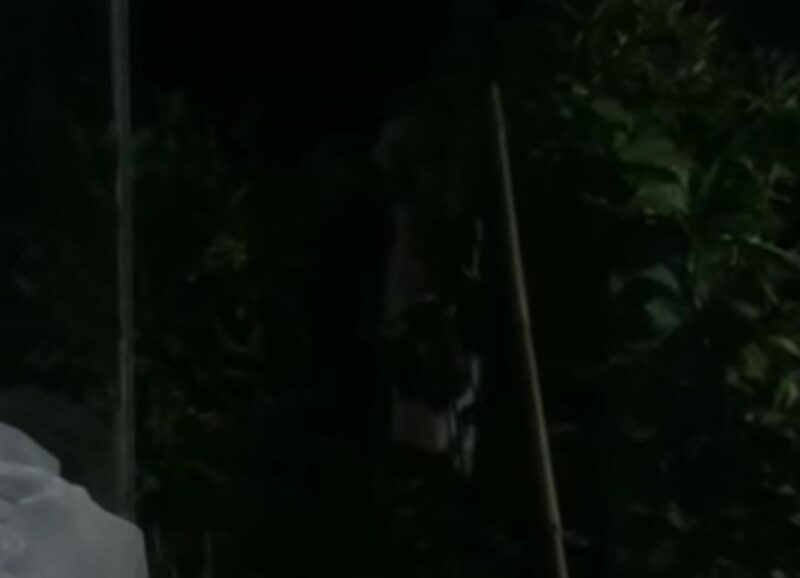 Penampakan pocong gegrkan warga Kampung Pelaukan RT 003 RW 002 Desa Karangrahayu Kecamatan Karangbahagia Kabupaten Bekasi