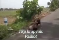 Dua wanita ABG terlibat keributan di Pasuruan Jatim (foto: tangkapan layar video viral @kabarnegri)