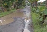 Jalan Pedukuhan Kajongan, Desa Kesadikan, Kecamatan Tarub, Kabupaten Tegal rusak parah (foto: tangkapan layar video viral)