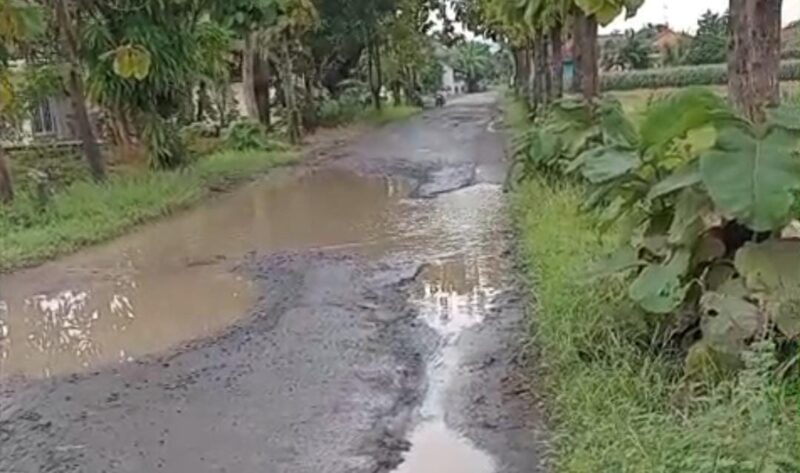 Jalan Pedukuhan Kajongan, Desa Kesadikan, Kecamatan Tarub, Kabupaten Tegal rusak parah (foto: tangkapan layar video viral)