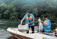 Bupati Bandung Barat, Jeje Ritchie Ismail menebar sebanyak 230.000 ekor benih ikan jenis nilem di perairan Waduk Cirata, Kecamatan Cipeundeuy (foto: Instagram @satgascitarum)