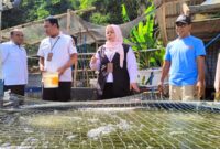 Pemkab Bandung Barat Dorong Peningkatan Budidaya Ikan Nila, Dispernakan: Tekankan Penguatan Kapasitas Pembudidaya (foto: Abdul Kholilulloh)