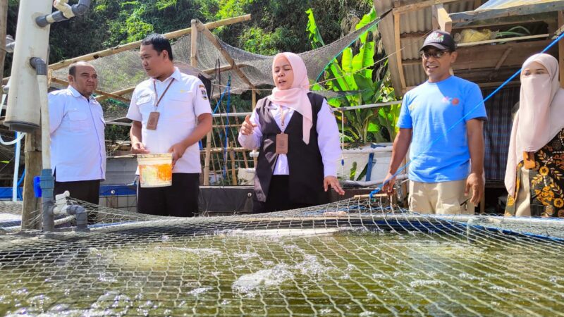 Pemkab Bandung Barat Dorong Peningkatan Budidaya Ikan Nila, Dispernakan: Tekankan Penguatan Kapasitas Pembudidaya (foto: Abdul Kholilulloh)