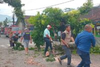 Bhabinkamtibmas Desa Rancapanggung Aipda M. Syarif Abdilah, bersama Babinsa Rancapanggung, petugas Damkar Kecamatan Cililin dan pemdes Rancapanggung serta warga evakuasi pohon tumbang (foto: istimewa)