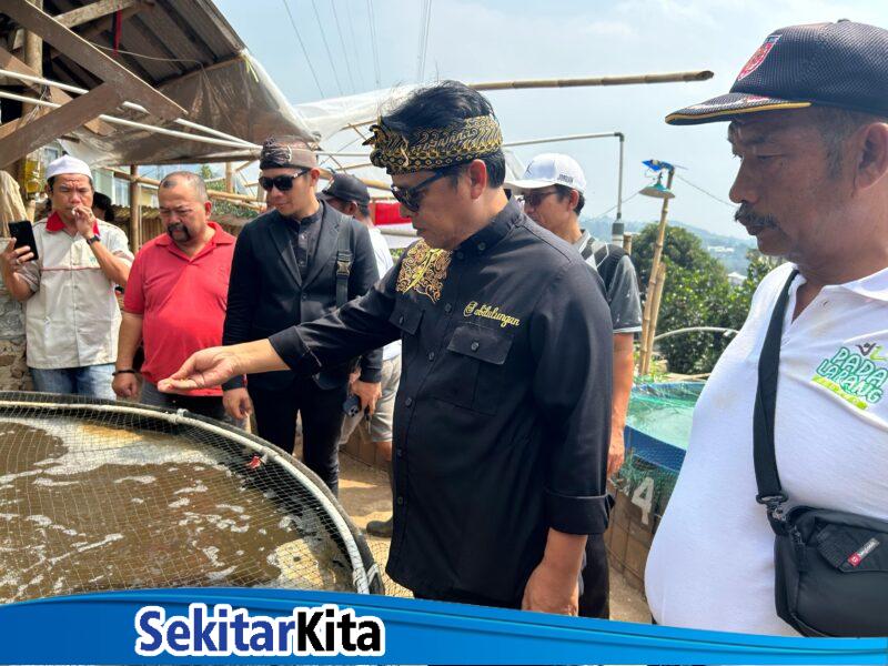 Anggota Komisi IV DPR RI, Dadang M. Naser, saat mengunjungi kelompok budidaya ikan nila di saung AKAR, Perumahan Graha Padalarang, Desa Padalarang Kecamatan Padalarang KBB (foto: Abdul Kholilulloh)