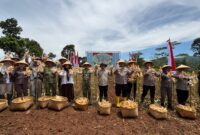 Kegiatan panen raya dipimpin langsung Wakapolda Jabar Brigjen Pol Adi Vivid Agustiadi Bachtiar, didampingi Kapolres Cimahi AKBP Niko Nurallah Adi Putra serta unsur Forum Komunikasi Pimpinan Daerah (Forkopimda) Kabupaten Bandung Barat dan Kota Cimahi (foto: Abdul Kholilulloh)