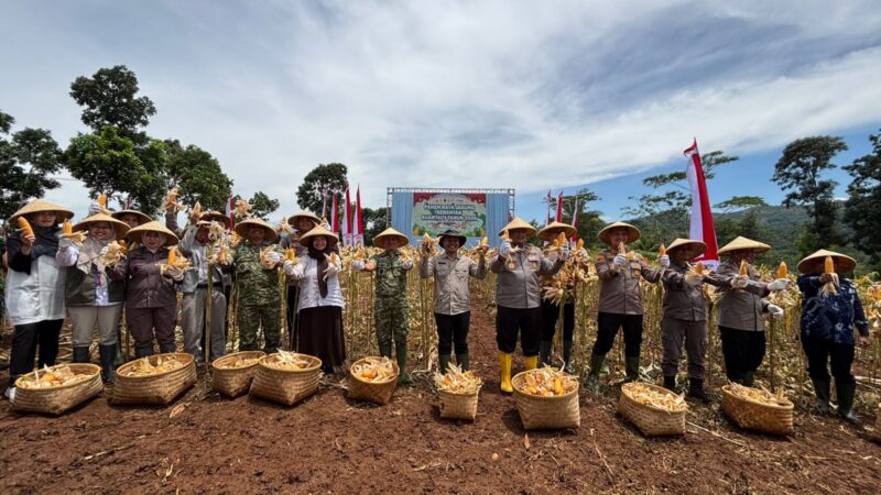 Kegiatan panen raya dipimpin langsung Wakapolda Jabar Brigjen Pol Adi Vivid Agustiadi Bachtiar, didampingi Kapolres Cimahi AKBP Niko Nurallah Adi Putra serta unsur Forum Komunikasi Pimpinan Daerah (Forkopimda) Kabupaten Bandung Barat dan Kota Cimahi (foto: Abdul Kholilulloh)