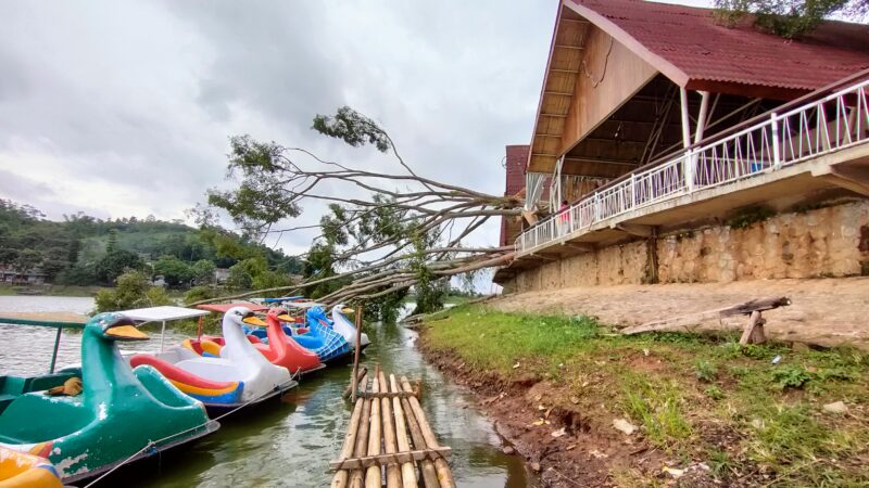 Pohon beringin berukuran besar menimpa warung di obyek wisata Ciburuy, Desa Ciburuy, Kecamatan Padalarang KBB (foto: Abdul Kholilulloh)
