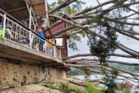 Pohon beringin berusia 40 tahun tumbang menimpa warung di obyek wisata Situ Ciburuy, Desa Ciburuy, Kecamatan Padalarang KBB, Kamis 22 Januari 2026 (foto: Abdul Kholilulloh)