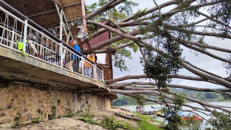 Pohon beringin berusia 40 tahun tumbang menimpa warung di obyek wisata Situ Ciburuy, Desa Ciburuy, Kecamatan Padalarang KBB, Kamis 22 Januari 2026 (foto: Abdul Kholilulloh)