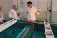 Wakil Wali Kota Cimahi, Adhitia Yudisthira, kunjungi Balai Benih Ikan (BBI) di Kelurahan Cibabat, Kecamatan Cimahi Utara (foto: istimewa)