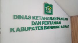 Dinas Ketahanan Pangan dan Pertanian (DKPP) resmi membuka gerai Kios Pangan murah di lantai utama gedung C kompleks perkantoran pemkab Bandung Barat (foto: Abdul Kholilulloh) 