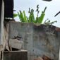 Atap rumah warga Blok Ranca, RT02/RW02, Desa Batujajar, Kecamatan Batujajar, Kabupaten Bandung Barat ambruk (foto: Abdul Kholilulloh)