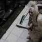 Teror begal membawa sajam berkedok pocong jadi jadian meresahkan warga Bandung Barat (foto: Facebook Baraya Padalarang)