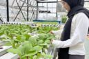 Peserta pelatihan Balai Pelatihan Vokasi dan Produktivitas (BPVP) Bandung Bara. (Foto: Abdul Kholilulloh)