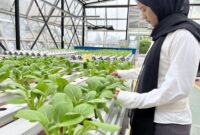 Peserta pelatihan Balai Pelatihan Vokasi dan Produktivitas (BPVP) Bandung Bara. (Foto: Abdul Kholilulloh)