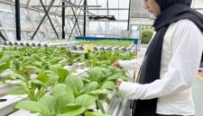 Peserta pelatihan Balai Pelatihan Vokasi dan Produktivitas (BPVP) Bandung Bara. (Foto: Abdul Kholilulloh)