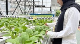 Peserta pelatihan Balai Pelatihan Vokasi dan Produktivitas (BPVP) Bandung Bara. (Foto: Abdul Kholilulloh)