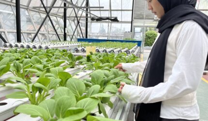 BPVP Bandung Barat Perkuat Pelatihan Vokasi dan Wirausaha Lewat Program HIPKI 2026