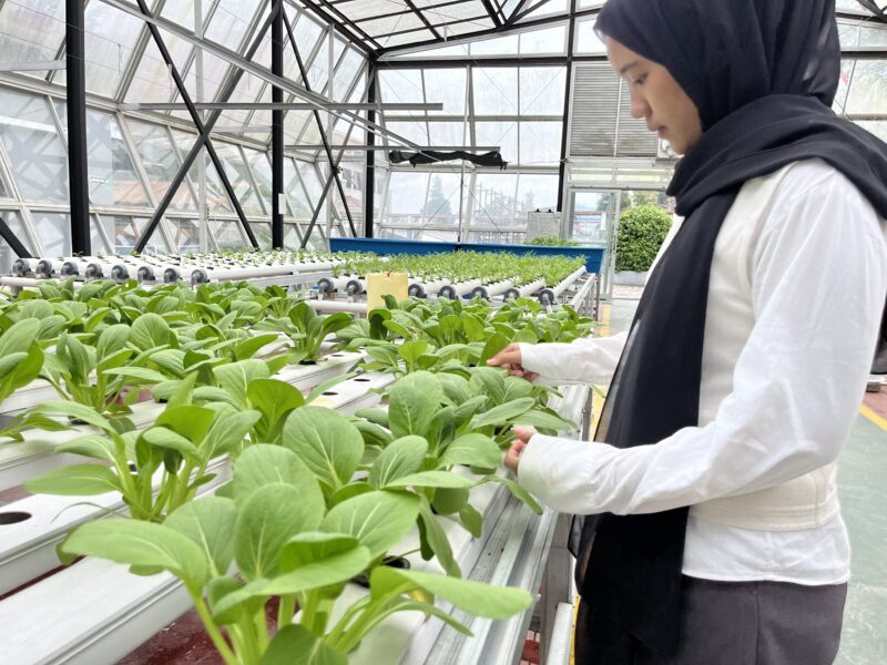 Peserta pelatihan Balai Pelatihan Vokasi dan Produktivitas (BPVP) Bandung Bara. (Foto: Abdul Kholilulloh)