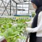 Peserta pelatihan Balai Pelatihan Vokasi dan Produktivitas (BPVP) Bandung Bara. (Foto: Abdul Kholilulloh)