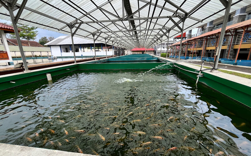 Pelatihan budidaya ikan di Balai Pelatihan Vokasi dan Produktivitas (BPVP) Bandung Barat, Kecamatan Lembang (foto: Abdul Kholilulloh)