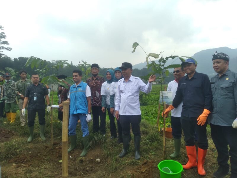 Wakil Bupati Bandung Barat, Asep Ismail beserta jajaran Forkopimda menanam pohon di aliran DAS Citarum peringati HPSN (foto: Abdul Kholilulloh)