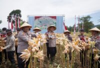 Kapolres Cimahi AKBP Niko N. Adi Putra pimpin panen raya jagung di Bandung Barat (foto: Humas Polres Cimahi)