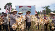 Kapolres Cimahi AKBP Niko N. Adi Putra pimpin panen raya jagung di Bandung Barat (foto: Humas Polres Cimahi)