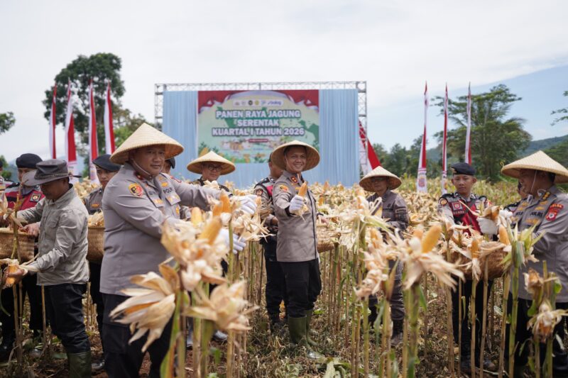 Kapolres Cimahi AKBP Niko N. Adi Putra pimpin panen raya jagung di Bandung Barat (foto: Humas Polres Cimahi)