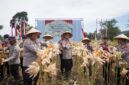 Kapolres Cimahi, AKBP Niko N. Adi Putra, bersama jajaran dan petani panen jagung di Bandung Barat memanfaatkan lahan tidur (foto: istimewa)