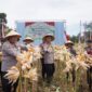 Kapolres Cimahi, AKBP Niko N. Adi Putra, bersama jajaran dan petani panen jagung di Bandung Barat memanfaatkan lahan tidur (foto: istimewa)