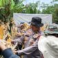 Panen Raya Jagung Serentak Kuartal II Tahun 2026 yang digelar bersama kelompok tani binaan Polda Jabar, Polres Cimahi (foto: Humas Polres Cimahi)
