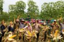 Polres Cimahi dan petani panen Raya jagung di lahan persawahan di Kabupaten Bandung Barat (foto: Humas Polres Cimahi)