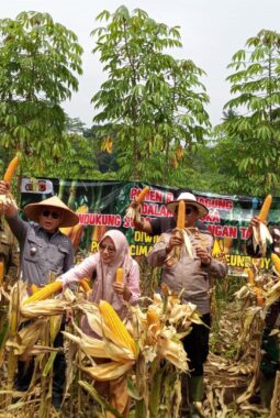 berita-rekomendasi-foto