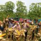 Polres Cimahi dan petani panen Raya jagung di lahan persawahan di Kabupaten Bandung Barat (foto: Humas Polres Cimahi)