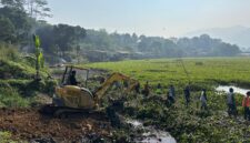 Aksi pembersihan eceng gondok dimulai pada Senin (29/6/2026) di kawasan Jembatan Ciminyak, Desa Rancapanggung, Kecamatan Cililin KBB (foto: istimewa)