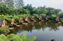 Siap sambut libur sekolah 2026, Wisata Dusun Bambu di Jalan Kolonel Masturi KM 11, Kertawangi, Kecamatan Cisarua KBB hadirkan pertunjukan menarik (foto: Abdul Kholilulloh)