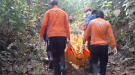 Tim SAR Gabungan berhasil menemukan Karman (54), seorang Aparatur Sipil Negara (ASN) asal Kabupaten Bandung Barat yang sebelumnya dilaporkan hilang di kawasan hutan Desa Bunihayu, Subang (foto: SAR Bandung)