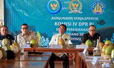 berita-pilihan-foto