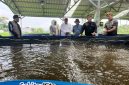 Anggota Komisi IV DPR RI dari Fraksi Partai Golkar, Dadang M. Naser saat meninjau pembudidaya ikan bioflok di Bandung Barat (foto: dok. Sekitarkita.id/ Abdul Kholilulloh)