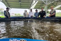 Anggota Komisi IV DPR RI dari Fraksi Partai Golkar, Dadang M. Naser saat meninjau pembudidaya ikan bioflok di Bandung Barat (foto: dok. Sekitarkita.id/ Abdul Kholilulloh)
