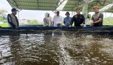 Anggota Komisi IV DPR RI dari Fraksi Partai Golkar, Dadang M. Naser saat meninjau pembudidaya ikan bioflok di Bandung Barat (foto: dok. Sekitarkita.id/ Abdul Kholilulloh)