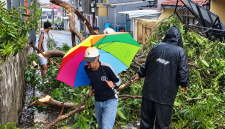 Pasca Puting Beliung Terjang KBB, Warga Padalarang Evakuasi Pohon Tumbang Tutup Akses Jalan